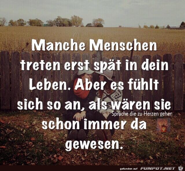 10 schöne Sprüche und Lebensweisheiten aus...
